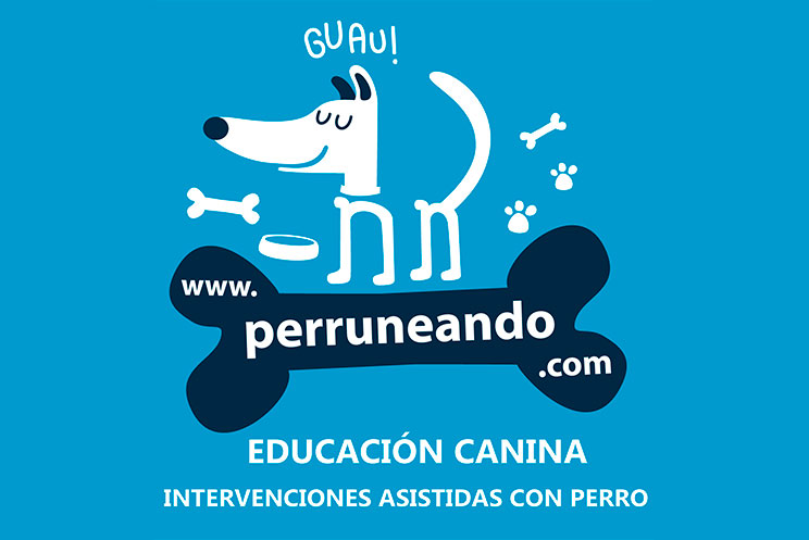 10 blogs sobre perros que debes seguir