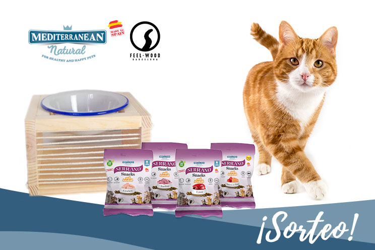 Sorteo: ¡Llévate gratis nuestros Serrano Snacks y este bebedero-comedero para tu gato!