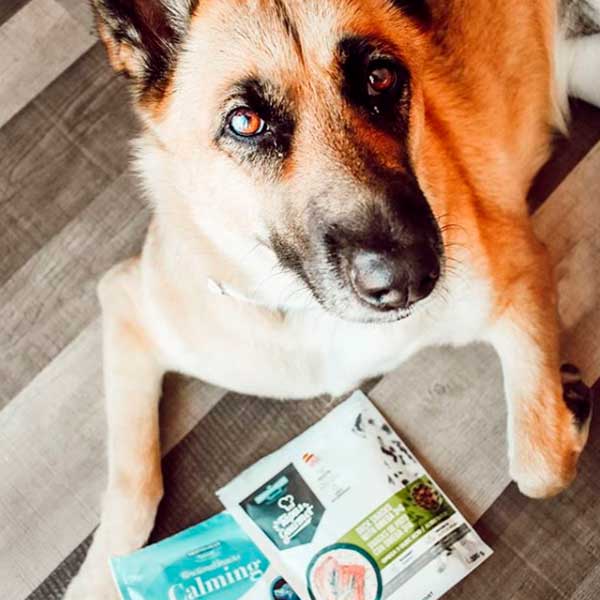 Functional Snacks Pelo y Piel de Mediterranean Natural para Perros