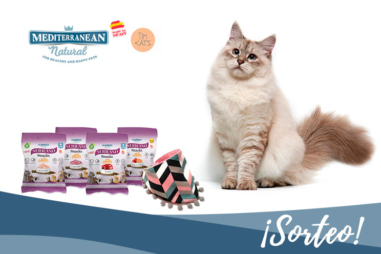 Sorteo: ¡Llévate gratis nuestros Serrano Snacks y esta bandana para tu gato!