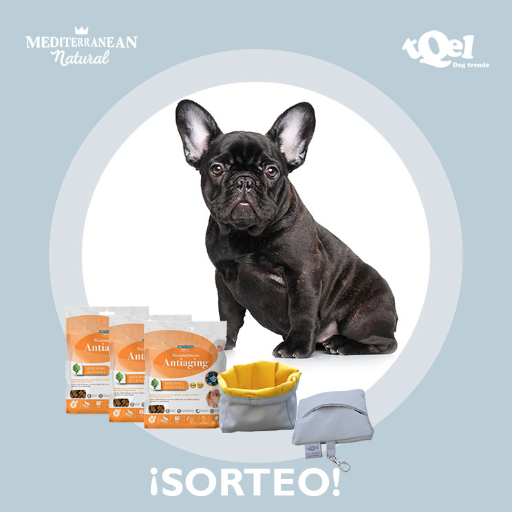 Sorteo: 'Llévate gratis nuestros Functional Snacks Antiaging y un comedero portátil para tu perro