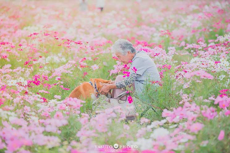 Yasuto: El fotógrafo japonés, su abuela y su Shiba Inu
