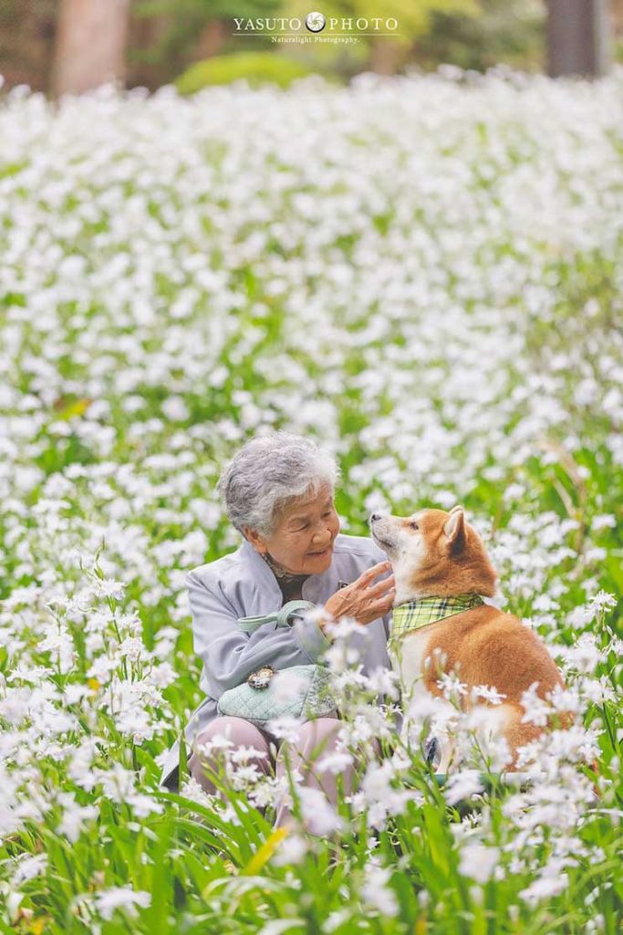 Yasuto: El fotógrafo japonés, su abuela y su Shiba Inu