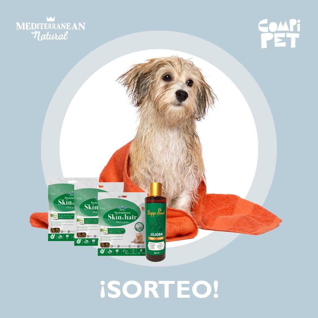 Sorteo: Llévate gratis nuestros Functional Snacks piel y pelo y un champú ecológico para tu perro