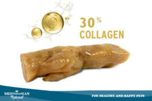Mediterranean natural  Collagen for Dogs: Which are its benefits and how  can the dog take it