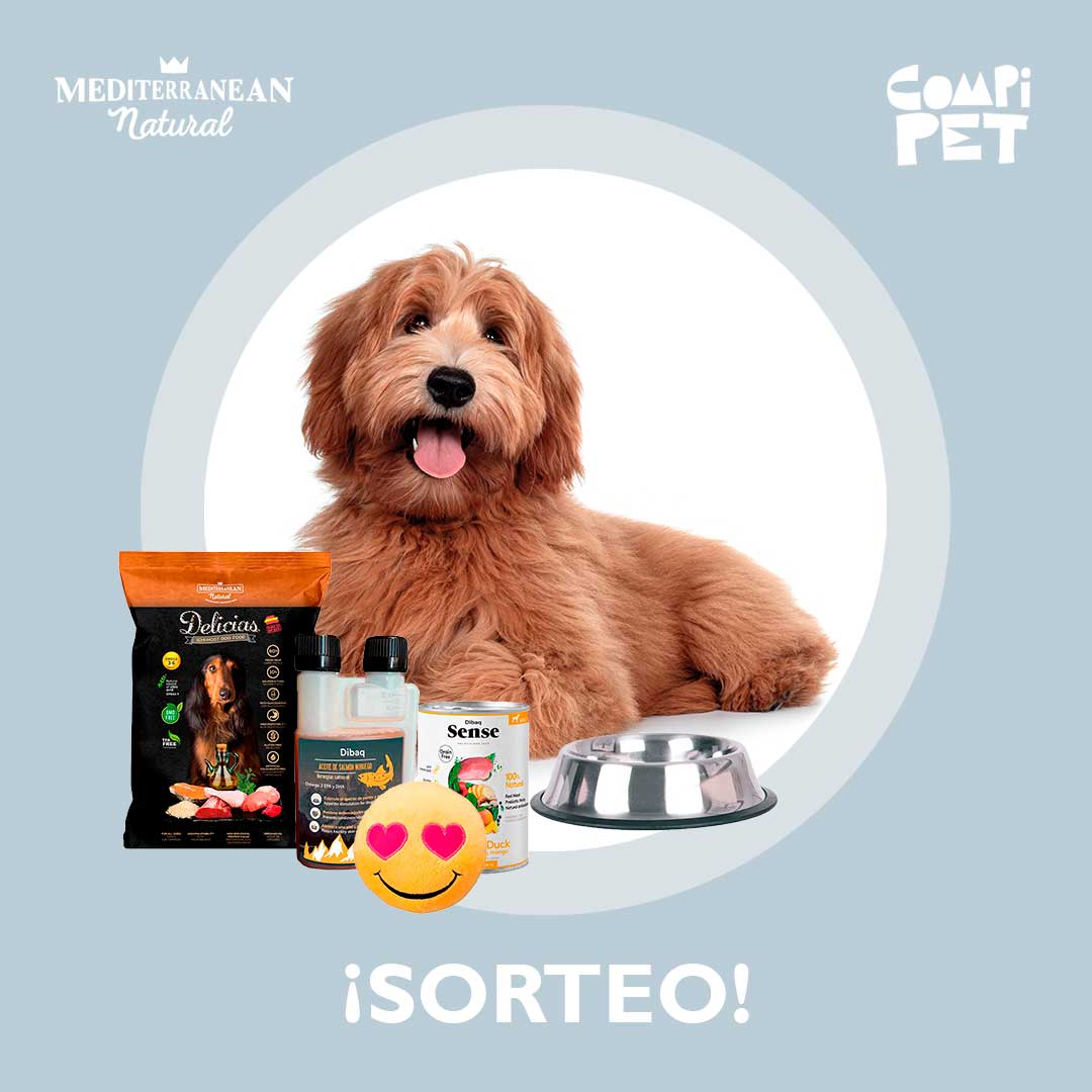 Sorteo: ¡Llévate gratis este pack para tu perro!