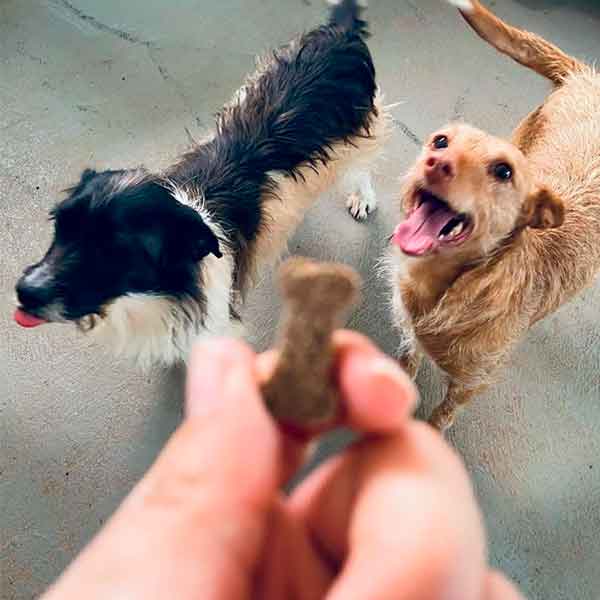 Perrunenando snacks para perros meditarranean natural