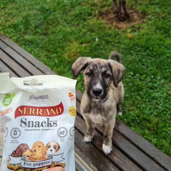 ally dog snacks para perros cachorros mediterranean natural