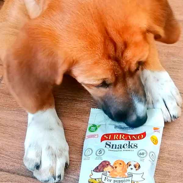 otto con los serrano snacks para perro cachorros de mediterranean natural