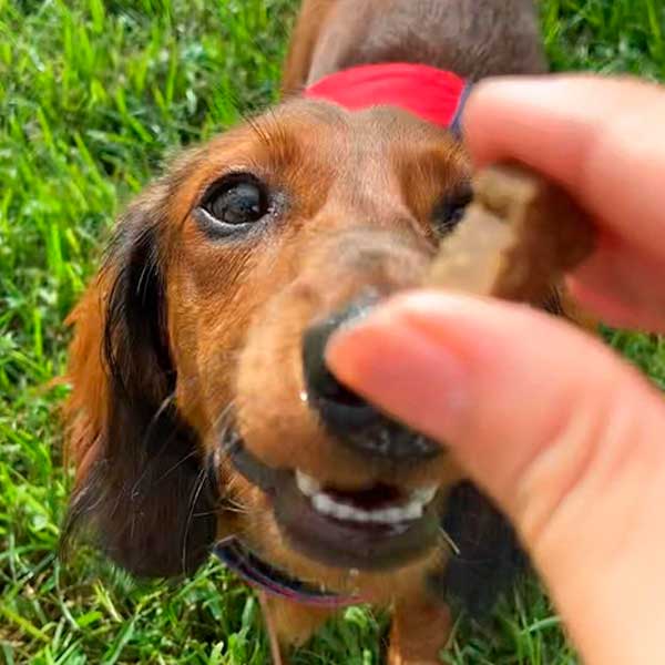 Otto little sausage y Serrano Snacks Mediterranean Natural