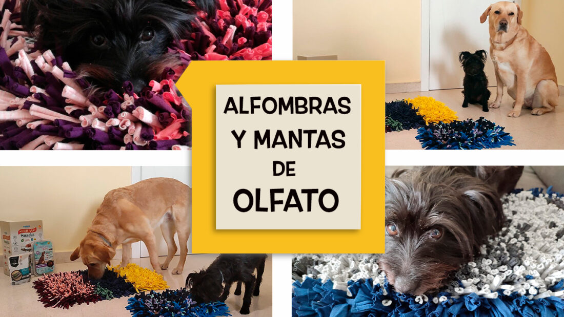 Alfombras y mantas de olfato para perros