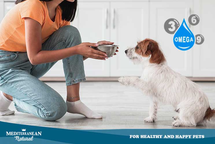 Snacks con Omega 3,6 y 9 para perros