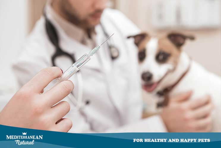 Qué vacunas necesita mi perro
