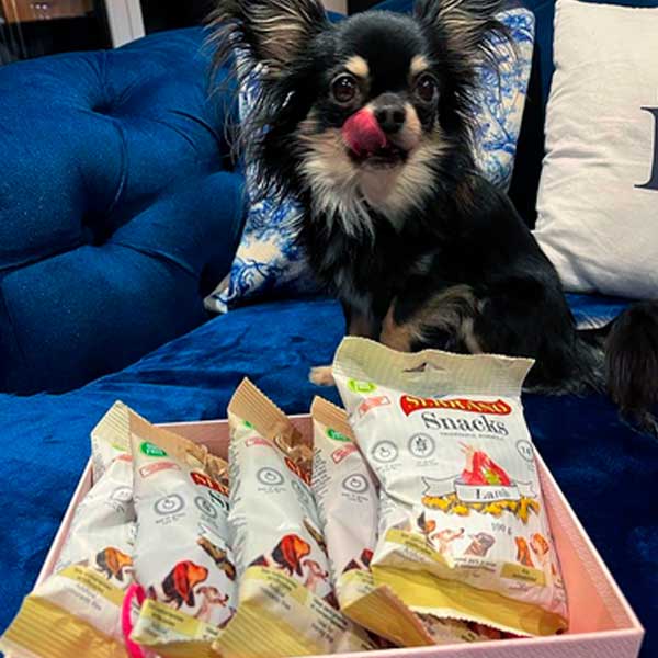 Serrano-snacks-Pablo-thedog-escobar