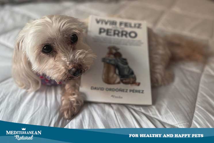 vivir feliz con mi perro: libro David Ordoñez Perruneando