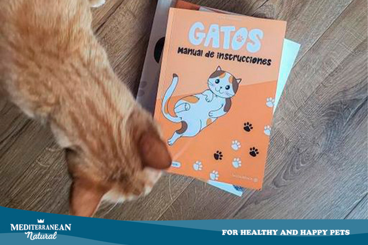 Gatos. Manual de instrucciones